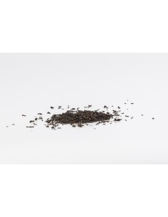 Lapsang-Souchong (sehr...