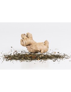 Chin. Grüntee/Ingwer